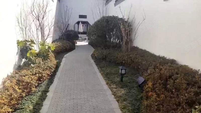 临沂春江明月房价走势_临沂春江明月别墅怎么样