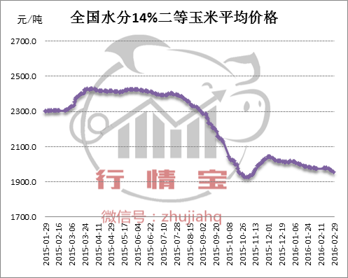 玉米价格走势和什么有关_现在的玉米价格和未来走势最佳答案
