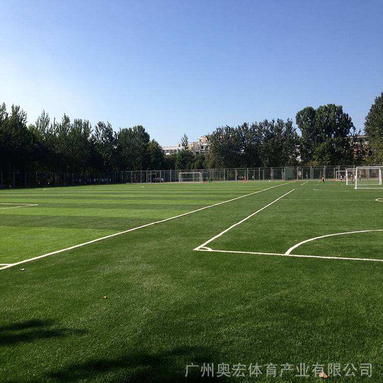 西安室内足球场_西安运动公园足球场