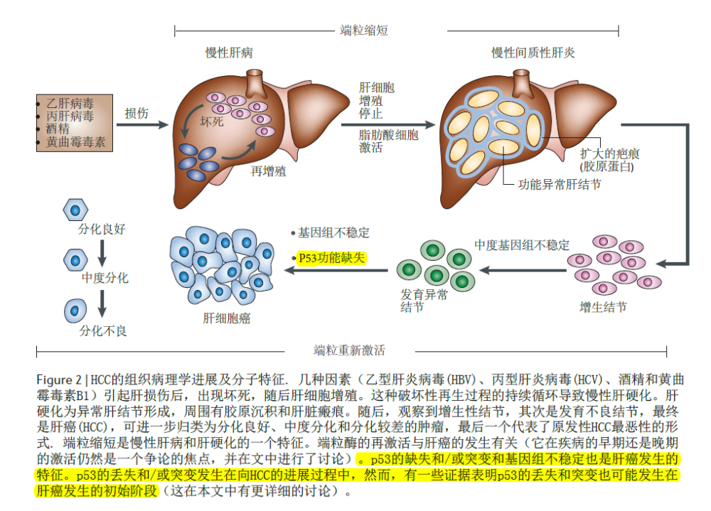 病理学科领域发展走势_病理科发展前景