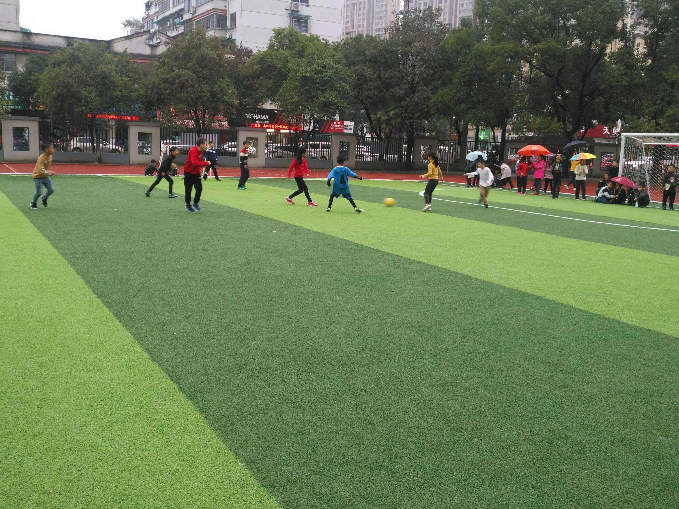 丽苑小学足球_美苑小学足球队