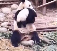 足球电棍侠的简单介绍