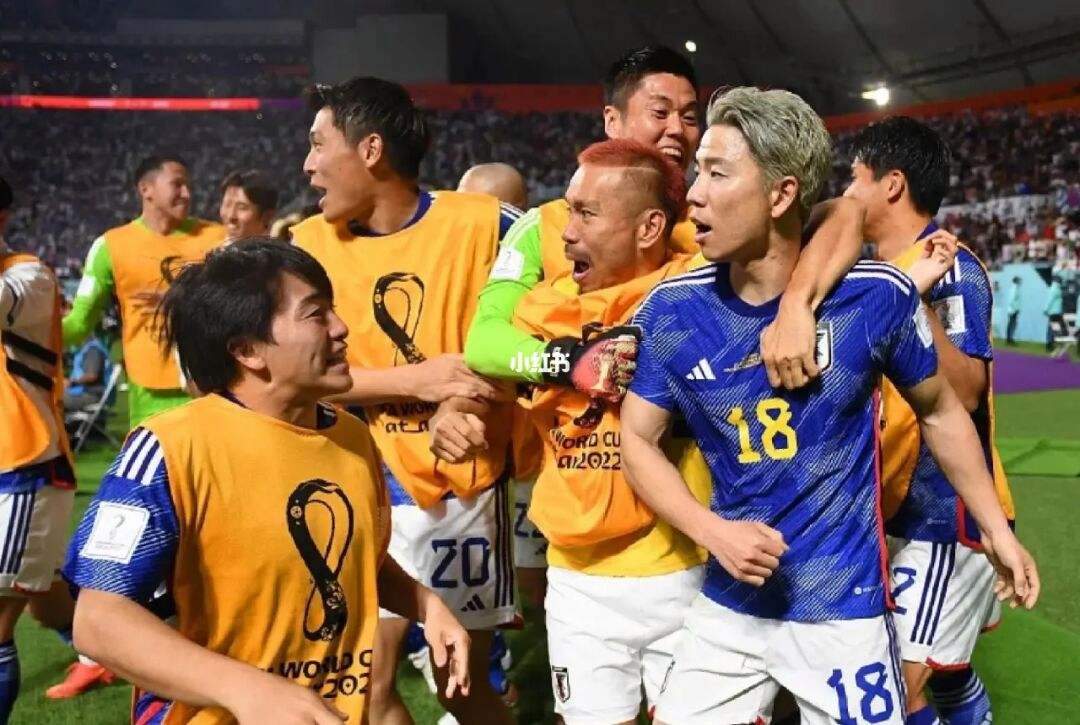 看足球怎么看_看足球怎么看直播