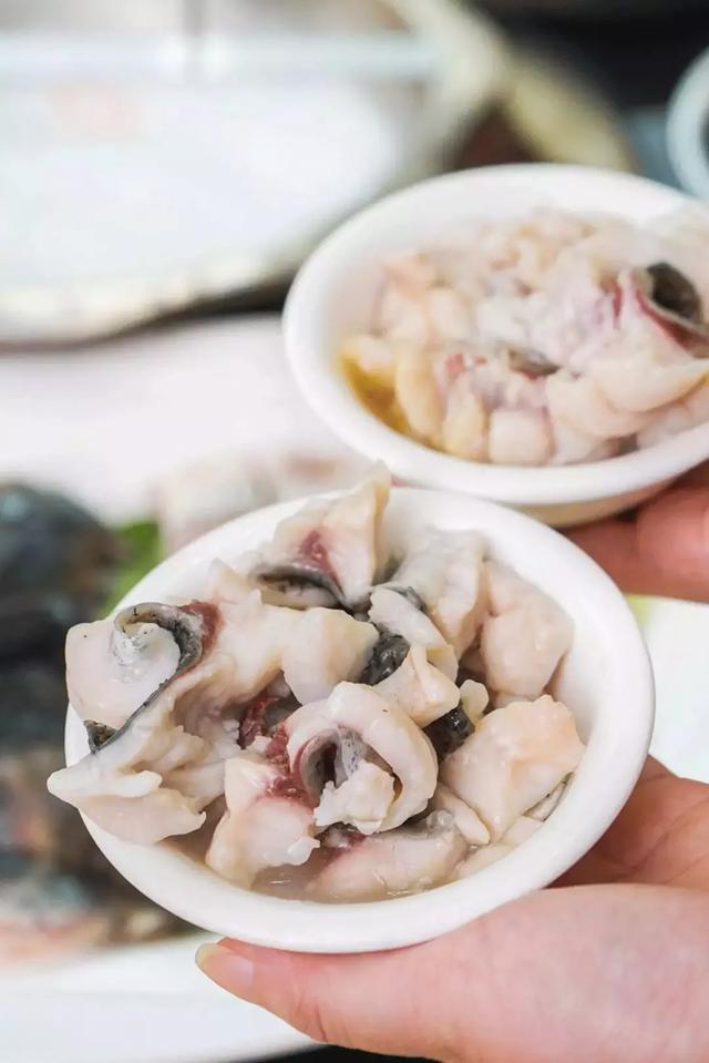 娱乐鱼刺软_鱼刺小说无防盗