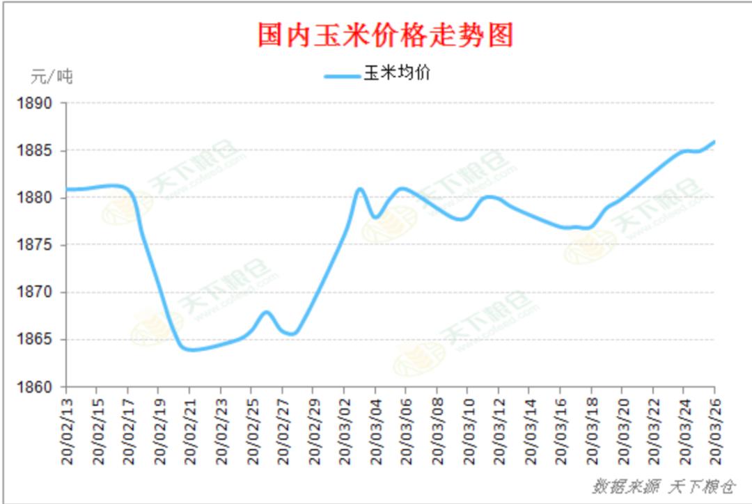 包含19年九月份玉米价格走势的词条
