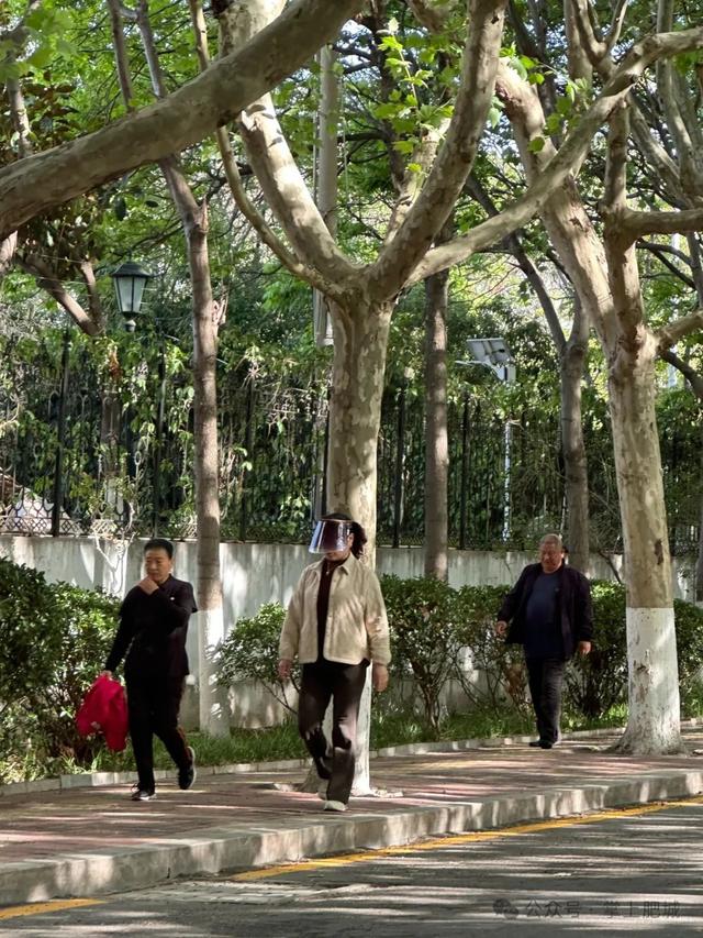 合肥梧凤山足球_合肥梧凤山足球场在哪